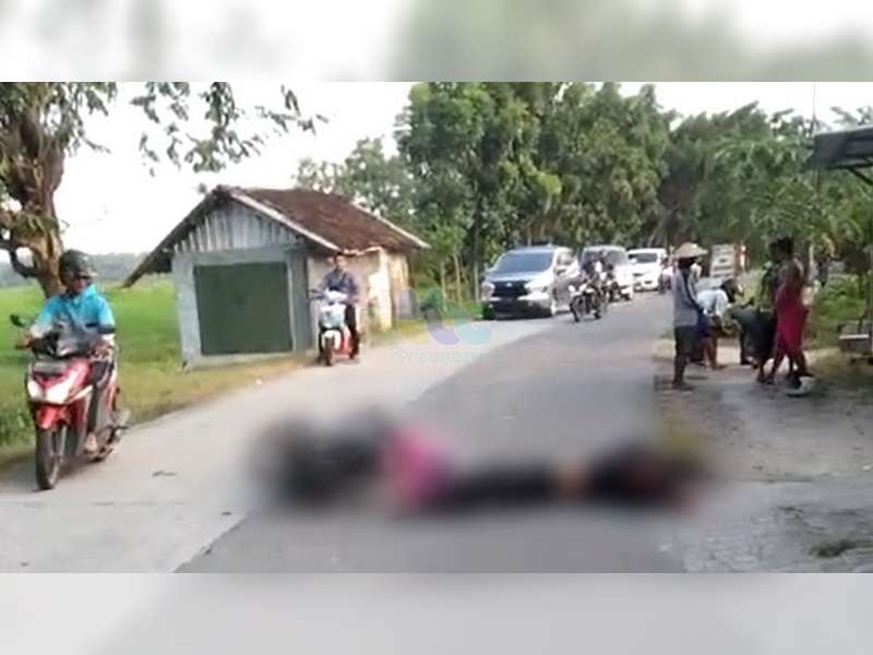 Tabrakan Motor dengan Truk di Pohwates, Bojonegoro, Seorang Pemotor Meninggal Dunia