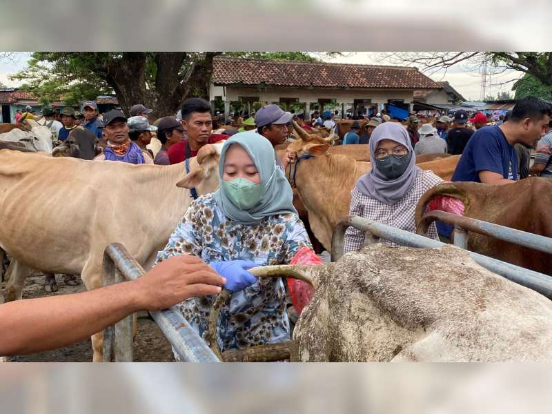 Baru Ada 2 Puskeswan, DP4 Blora Segera Lakukan Penambahan