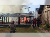 Rumah Warga Ngraho, Bojonegoro Terbakar, 3 Ekor Sapi Turut Terpanggang Api