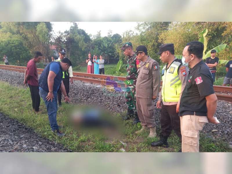 Diduga Bunuh Diri, Mr X Ditemukan Meninggal Tertabrak Kereta Api di Kalitidu, Bojonegoro