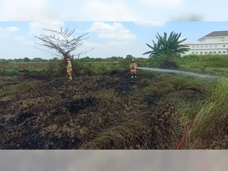 Diduga Sengaja Dibakar, Semak Belukar di Samping RSUD dr R Sosodoro Bojonegoro Terbakar