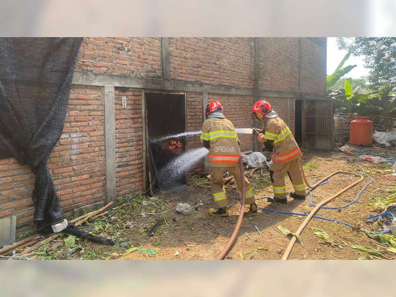 Kebakaran Oven Tembakau di Sukosewu, Bojonegoro, 8 Ton Daun Tembakau Ludes Terbakar