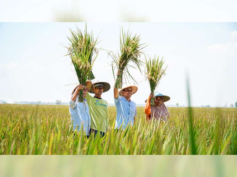 Hadiri Panen Raya Padi, Bacabup Bojonegoro Setyo Wahono Sampaikan Solusi Atasi Masalah Pertanian