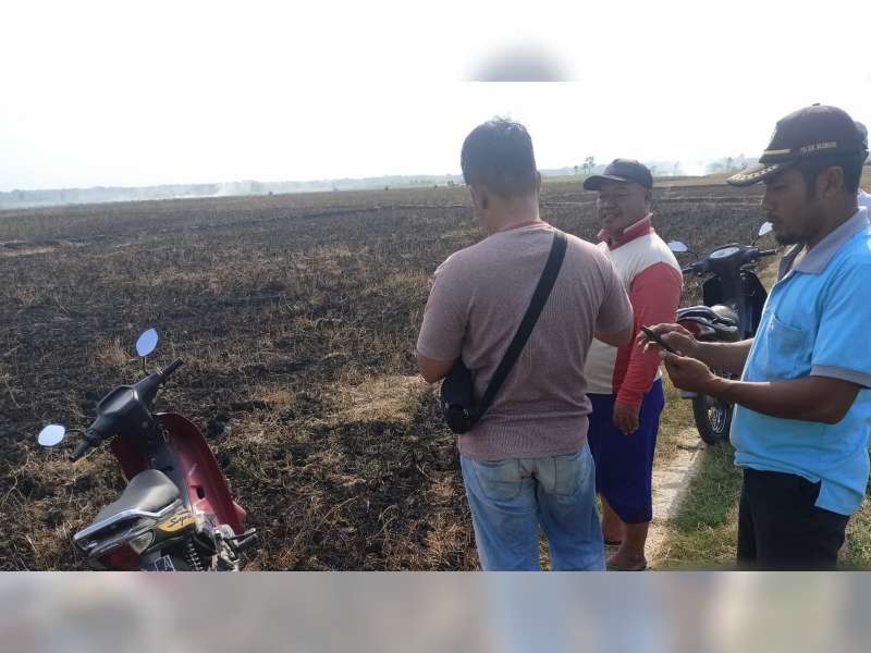 Terjebak Kobaran Api Saat Bakar Batang Kedelai di Sawah, Warga Sumberrejo, Bojonegoro Meninggal
