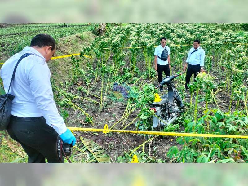 Jatuh dan Terkena Sabit Miliknya Sendiri, Warga Purwosari, Bojonegoro Meninggal Dunia di Sawah