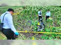 Jatuh dan Terkena Sabit Miliknya Sendiri, Warga Purwosari, Bojonegoro Meninggal Dunia di Sawah