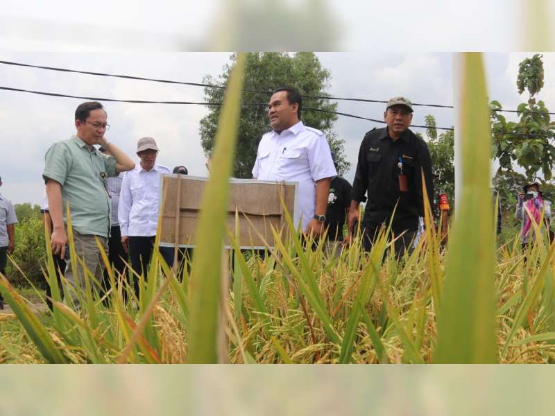 Dukung Swasembada Pangan, Pemkab Blora Siap Naikkan Target Panen di Atas Target Pemerintah Pusat