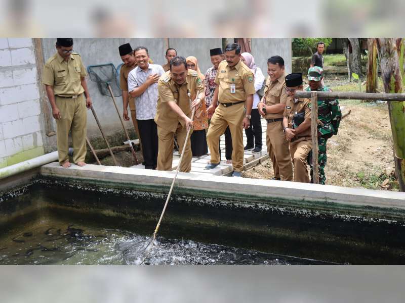 Dorong Swasembada Pangan dan Sentra Budidaya, Bupati Blora Panen Ikan Lele di Panolan