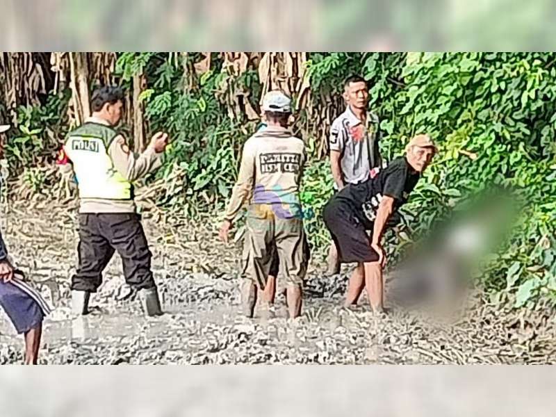 Diduga Serangan Jantung, Petani di Sukosewu, Bojonegoro Ditemukan Meninggal di Sawah