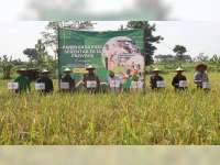 Blora Ikuti Panen Raya Padi Serentak di 14 Provinsi