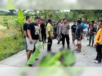 Tabrakan Truk dan Motor di Sugihwaras, Bojonegoro, Pengendara Motor Meninggal Dunia