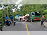 Truk Bermuatan Pupuk Terguling di Margomulyo, Jalur Bojonegoro-Ngawi Macet 1,5 Jam