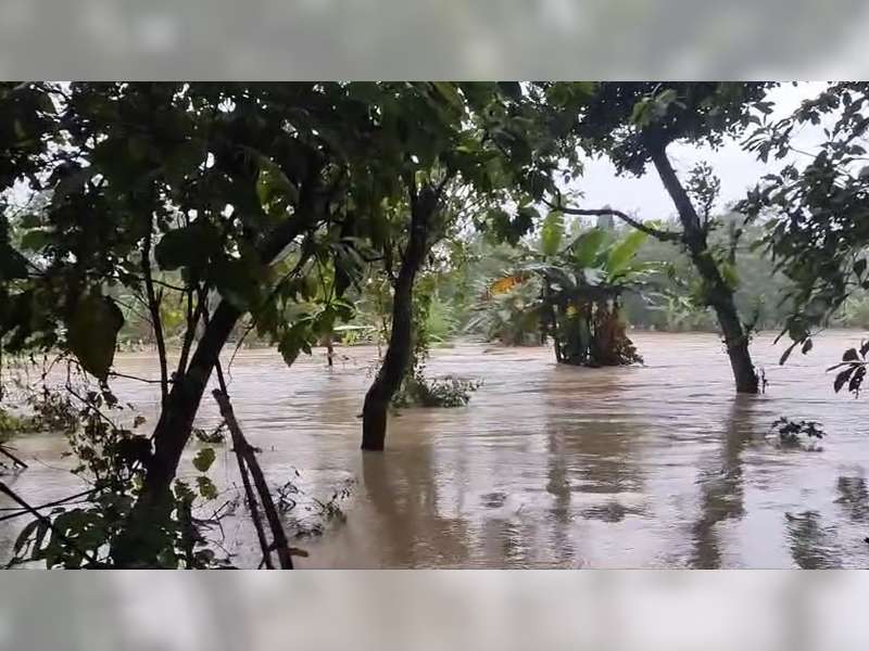 Banjir Kembali Terjang Kecamatan Ngasem, Bojonegoro, Belasan Rumah Warga Tergenang