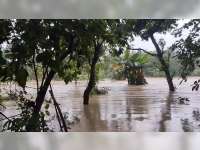 Banjir Kembali Terjang Kecamatan Ngasem, Bojonegoro, Belasan Rumah Warga Tergenang