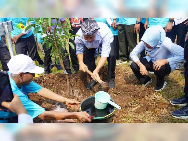 Tanam Alpukat, Bupati Bojonegoro Harap Mampu Lestarikan Lingkungan dan Bermanfaat untuk Masyarakat