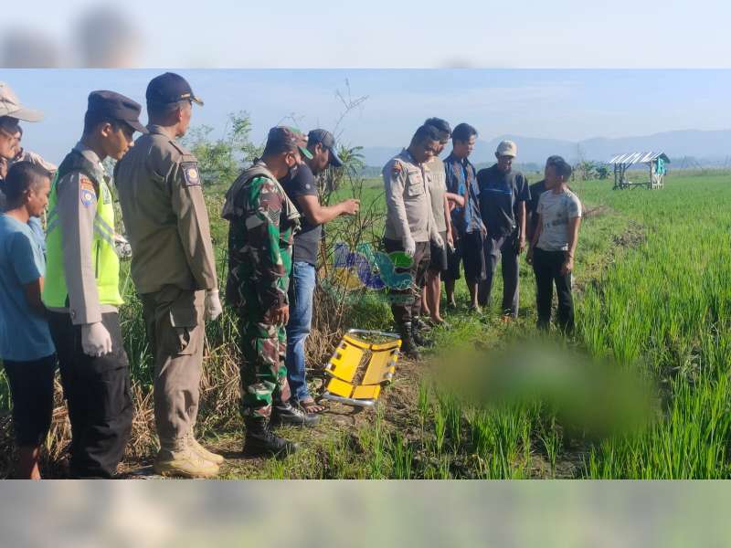Tersengat Listrik Jebakan Tikus di Sawah, Warga Kalitidu, Bojonegoro Ditemukan Meninggal