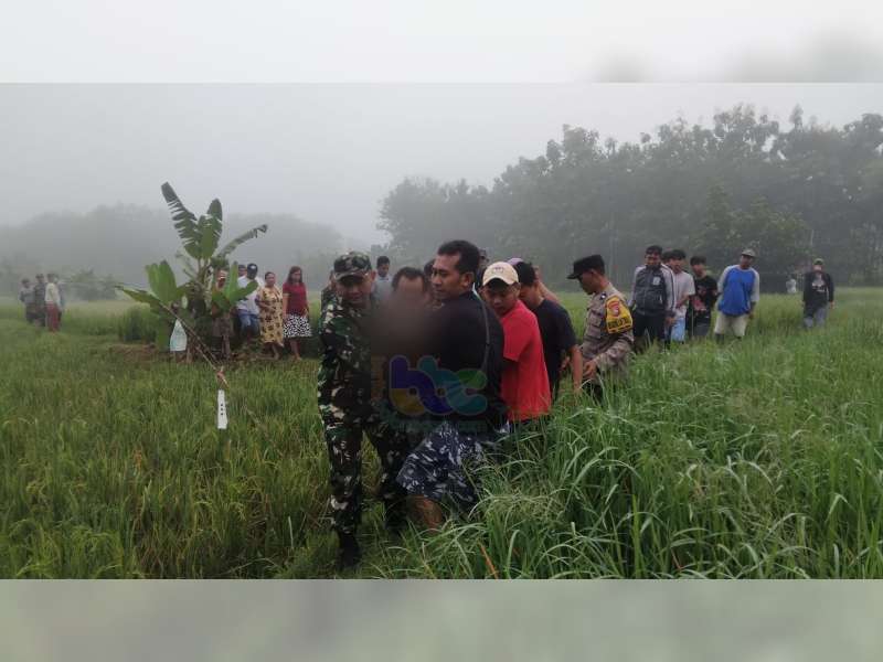 Tersengat Listrik Jebakan Tikus Milik Sendiri, Petani di Kasiman, Bojonegoro Meninggal di Sawah