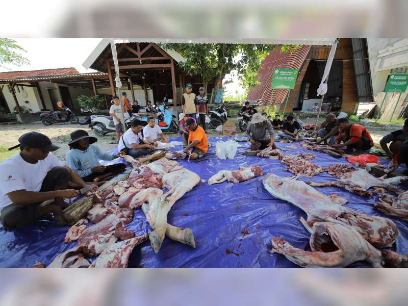 Bukan Sekadar Kurban, Pekerja Blok Cepu Gotong Royong dengan Warga Sebagai Relawan