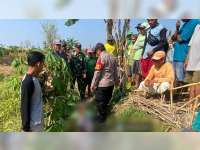Diduga Hipertensi Kambuh saat Cari Rumput di Sawah, Warga Sukosewu, Bojonegoro Ditemukan Meninggal