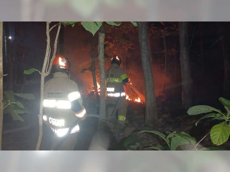 Sepanjang Hari Ini, 4 Kebakaran Terjadi di Wilayah Kabupaten Bojonegoro