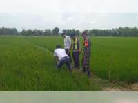 Petani di Gayam, Bojonegoro Ditemukan Meninggal Tersengat Listrik Jebakan Tikus di Sawah