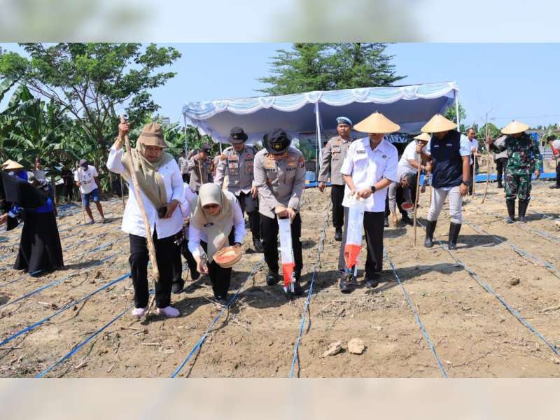Polres Bojonegoro Tanam Jagung Dukung Program Asta Cita Presiden Prabowo