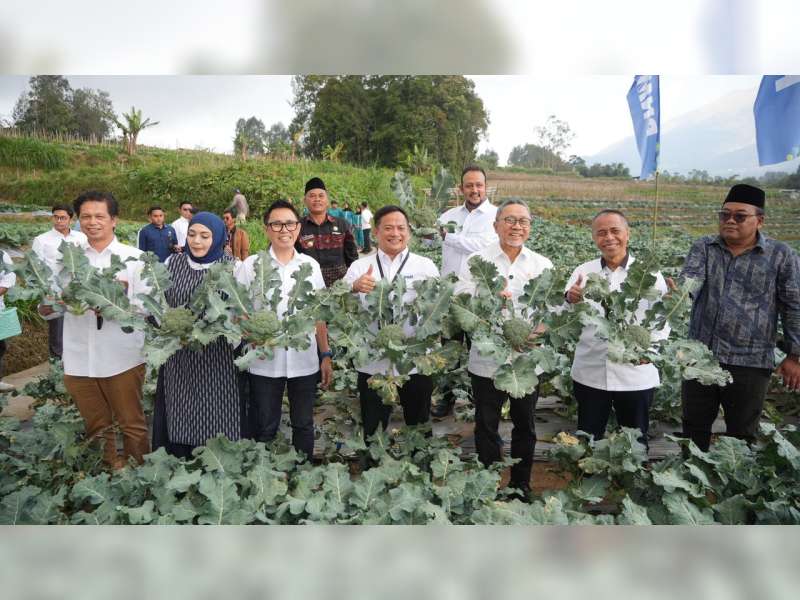 Menko Pangan RI Panen Brokoli hingga Ayam Petelur di Rumah Pangan PNM di Semarang