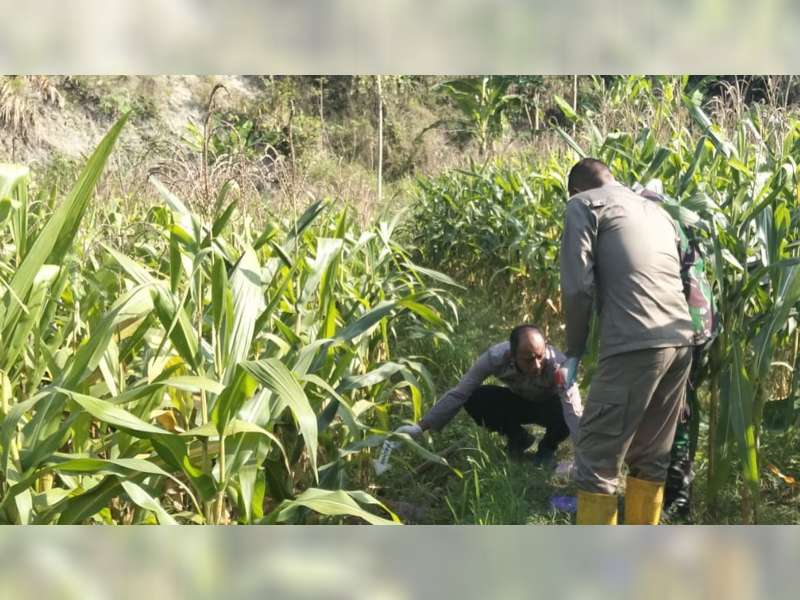 Mayat dengan Luka Sayatan di Leher Ditemukan di Pinggir Hutan Margomulyo, Bojonegoro