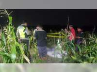 Diduga Serangan Jantung, Petani di Kedungadem, Bojonegoro Ditemukan Meninggal di Sawah