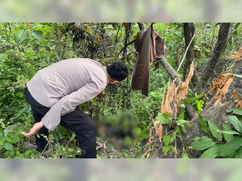 Jatuh ke Jurang dan Motor Terbakar, Pemotor di Temayang, Bojonegoro Meninggal