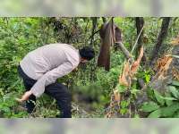 Jatuh ke Jurang dan Motor Terbakar, Pemotor di Temayang, Bojonegoro Meninggal