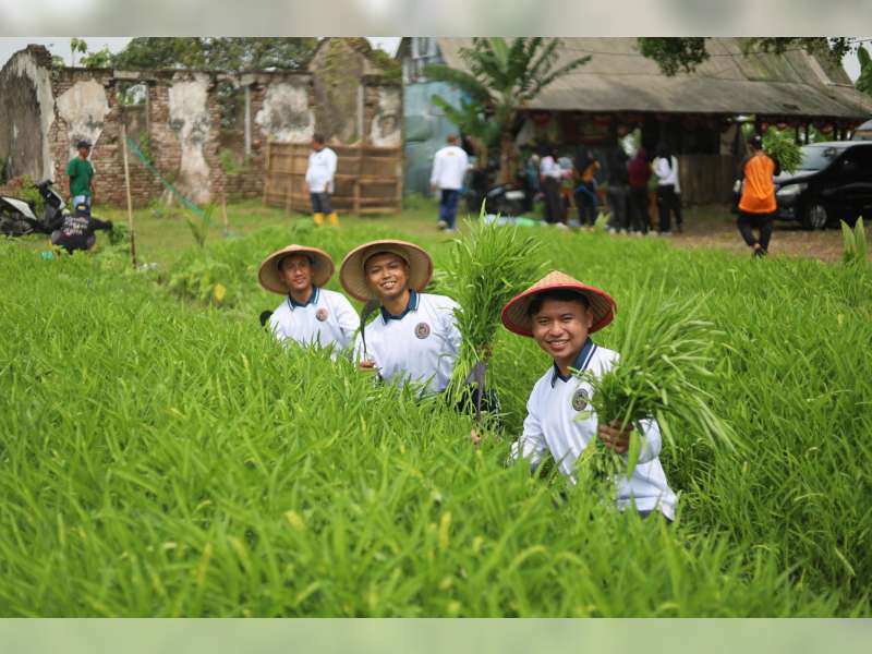 Lapas Bojonegoro Gelar Panen Kangkung di SAE LBIC