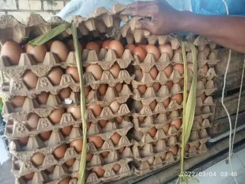 Harga Telur dan Ayam Kampung di Bojonegoro Naik Jelang Libur Akhir Tahun 2025
