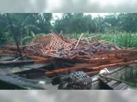 5 Rumah Warga Tambakrejo, Bojonegoro Roboh Diterjang Angin, Kerugian Capai Rp 160 Juta