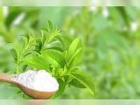 Stevia, Pemanis Alami Tanpa Kalori yang Ramah bagi Penderita Diabetes dan Diet