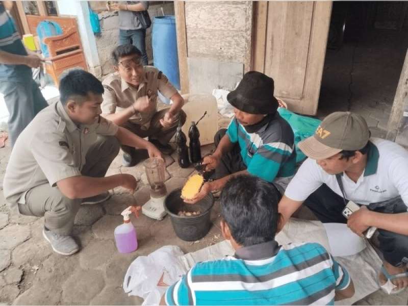 Tak Lagi Bakar Jerami, Petani Luwihaji Bojonegoro Kini Racik Dekomposer Sendiri demi Kesuburan Tanah