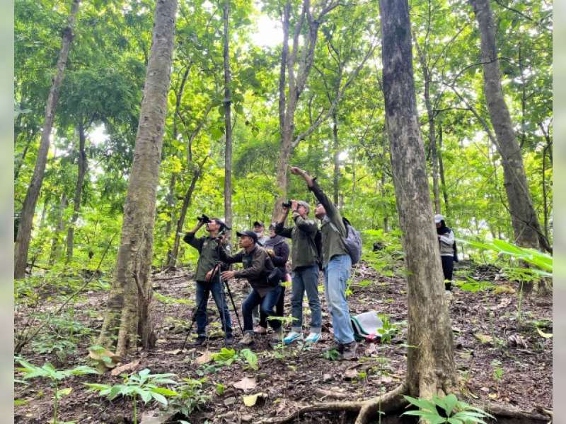 Pegiat Lingkungan Bojonegoro Kolaborasi  Ekspedisi Pencarian Anggrek Larat Hijau di Hutan
