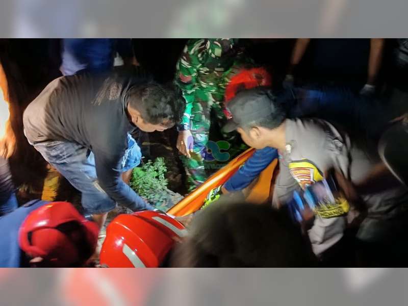 Tersengat Listrik Saat Tebang Pohon di Gondang, Bojonegoro, Warga Nganjuk Meninggal