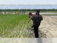 Diduga Serangan Jantung, Petani di Kepohbaru, Bojonegoro, Meninggal di Sawah