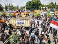Ribuan Petani Tebu Gelar Aksi Unjuk Rasa, Tuntut Bulog Segera Perbaiki Pabrik GMM