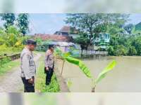 Tenggelam di Sawah, Seorang Balita di Gayam, Bojonegoro Meninggal Dunia