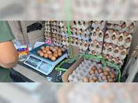 Pemkab Bojonegoro Fasilitasi Penjualan Telur Gayatri, Dorong Penguatan Kerjasama