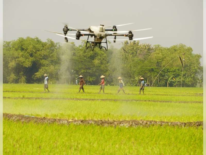Transformasi Pertanian Bojonegoro Lewat Teknologi Drone Sprayer di Desa Sumodikaran