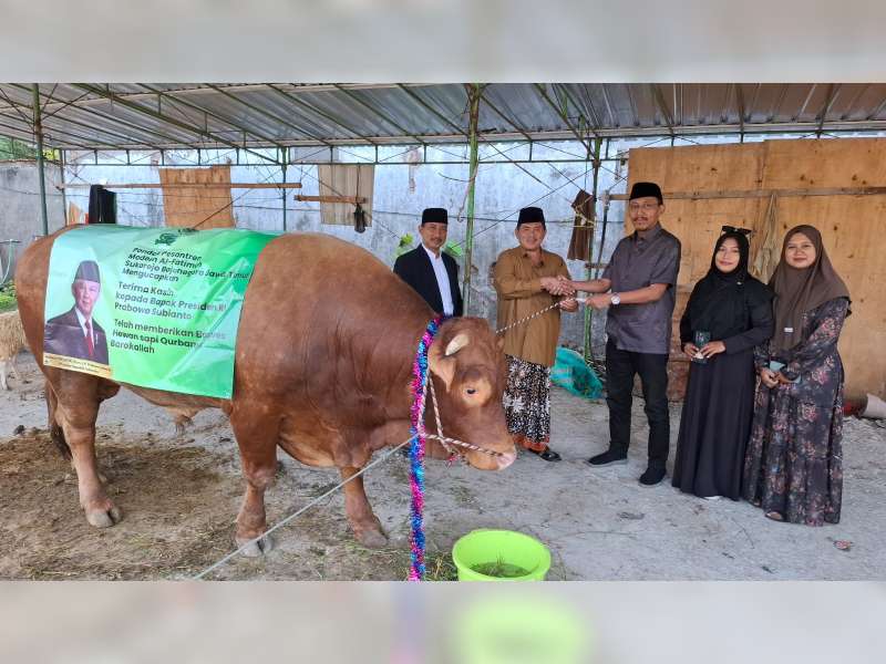 Mas Bambang, Sapi Kurban Banpres Prabowo untuk Warga Bojonegoro Disalurkan Melalui Ponpes Modern Al Fatimah
