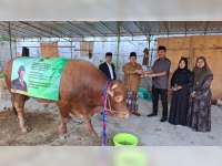 Mas Bambang, Sapi Kurban Banpres Prabowo untuk Warga Bojonegoro Disalurkan Melalui Ponpes Modern Al Fatimah