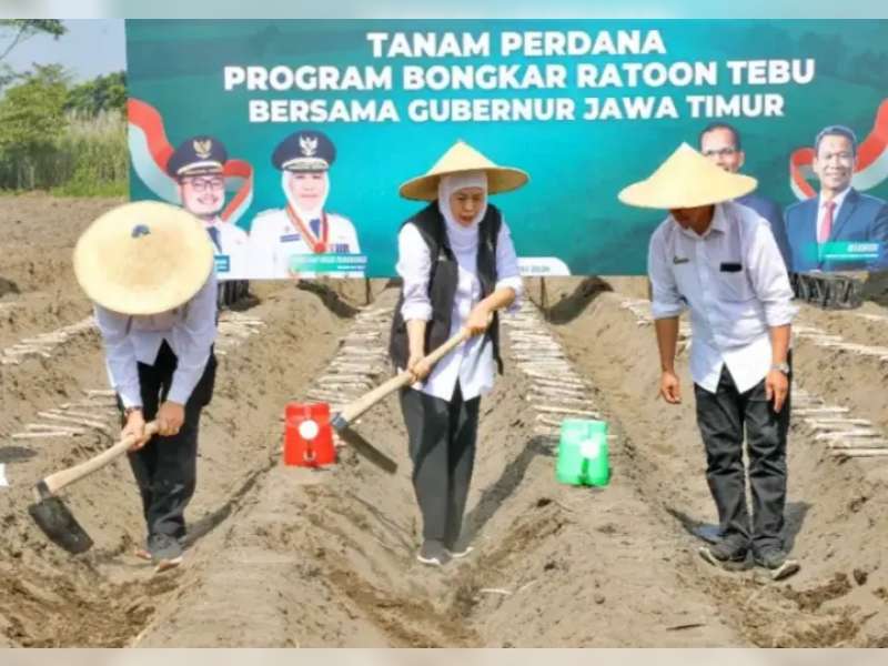Gubernur Jatim Pimpin Tanam Tebu Serentak di Kediri demi Akselerasi Swasembada Gula