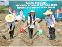 Gubernur Jatim Pimpin Tanam Tebu Serentak di Kediri demi Akselerasi Swasembada Gula