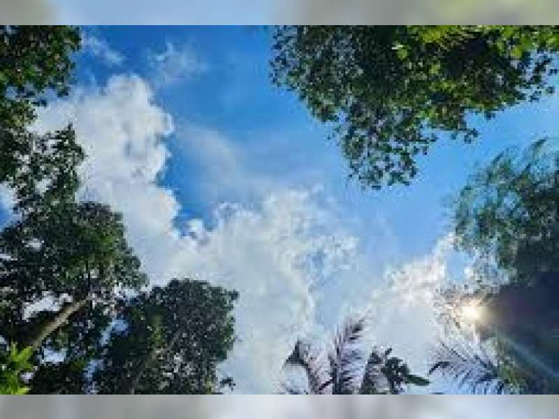Prakiraan Cuaca Bojonegoro 23 Juni 2026