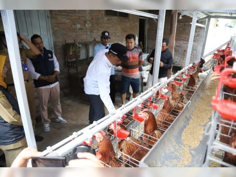 Bantu Keberlanjutan Program GAYATRI, Disnakkan Bojonegoro Matangkan Skema Bantuan Pakan Hingga Penyerapan Telur ke SPPG