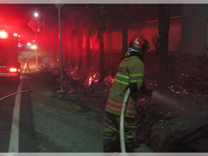Diduga Akibat Puntung Rokok, Tumpukan Ranting Pohon di Depan SMPN 1 Temayang Hangus Terbakar